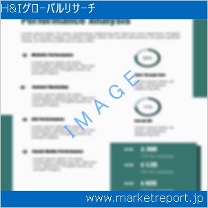 市場と産業調査レポートのイメージ